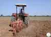 Huíla tem 184 mil hectares a mais para campanha agrícola