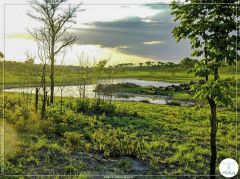 Parque Nacional do Bicuar 
