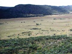 Serra Mocoti