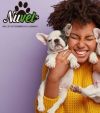 Nuvet-Commerce & Service Provision (SU) Lda