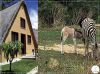 Onde a natureza está intacta e o Zebru Pulu é a mascote