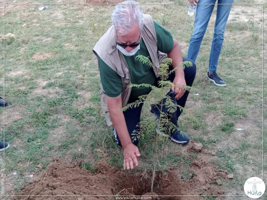 Plantação de árvores na Huíla
