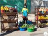 FEIRA JUNTA MAIS DE CEM PEQUENOS PRODUTORES DO LUBANGO