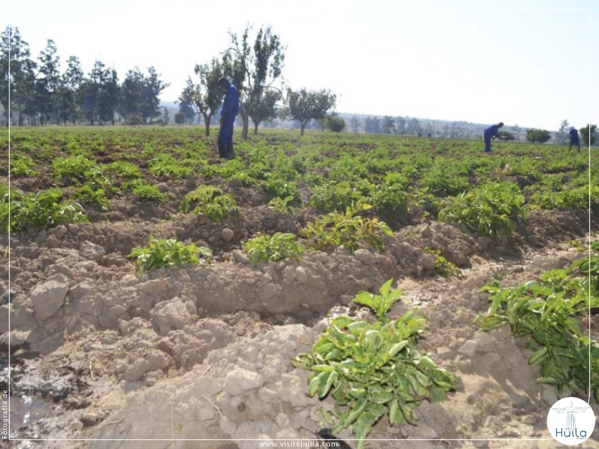 Governo reforça apoio à agricultura familiar