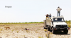 Bicuar receives lions to repopulate the Reserve
