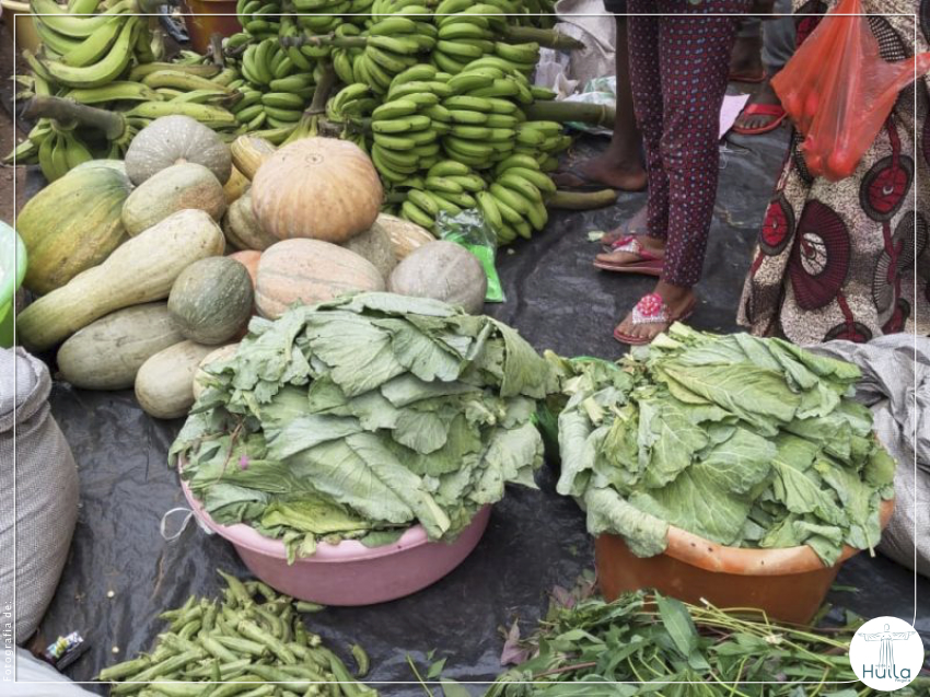 Feira mostra potencialidades agrícolas de Caconda