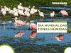 2 DE FEVEREIRO - DIA MUNDIAL DAS ZONAS HÚMIDAS