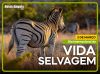 3 DE MARÇO - DIA INTERNACIONAL DA VIDA SELVAGEM