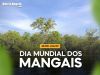 26 de Julho- Dia Mundial dos Mangais